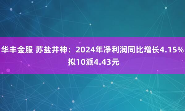 华丰金服 苏盐井神：2024年净利润同比增长4.15% 拟10派4.43元