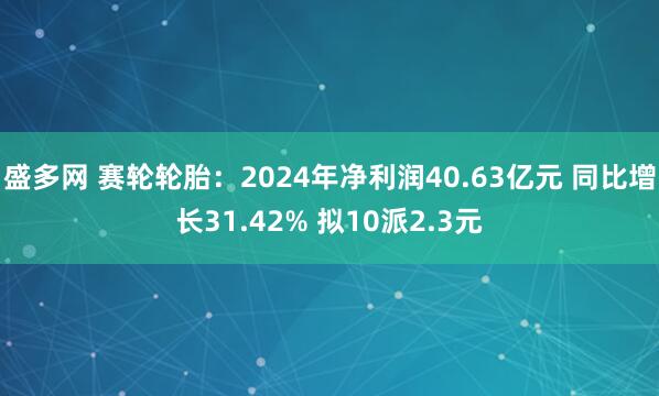 盛多网 赛轮轮胎：2024年净利润40.63亿元 同比增长31.42% 拟10派2.3元